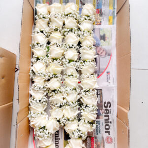 G21 White Roses With Babys Breath 300x300